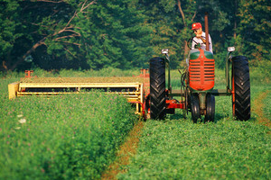Agricultural engine and transmission oils