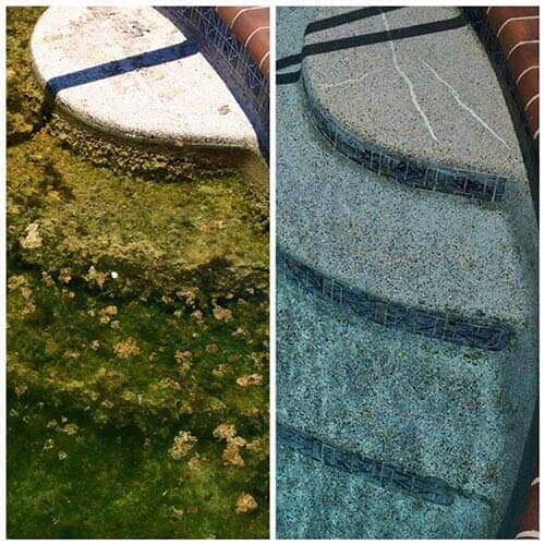 Neglected or Abandoned Pools — Bradenton, FL — Doug's Pool Service