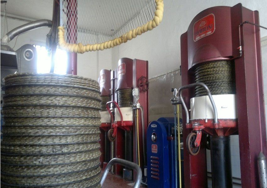 frantoio oleario