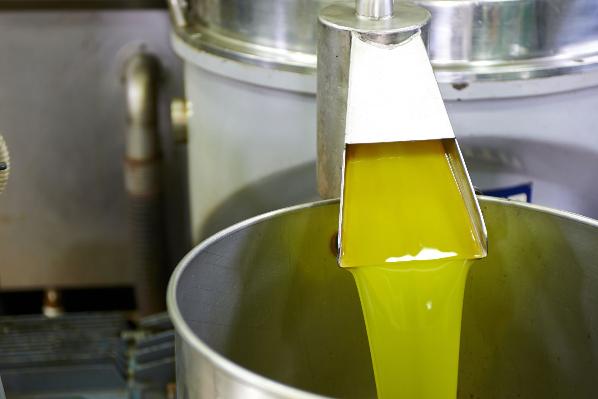 produzione olio