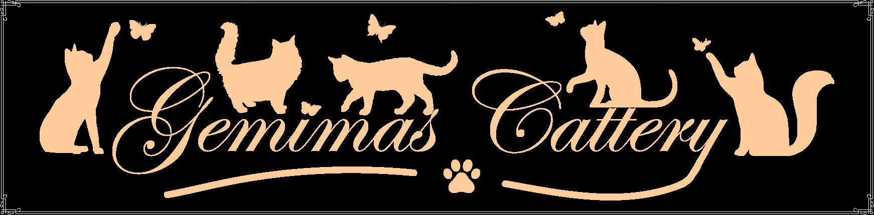 Gemimas Cattery Lincoln