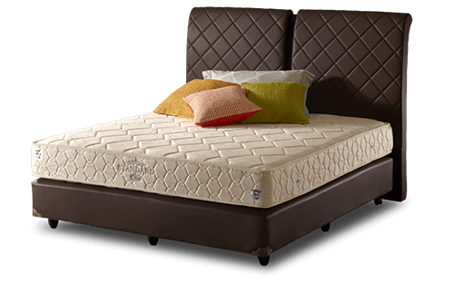 Elite Bed Standard