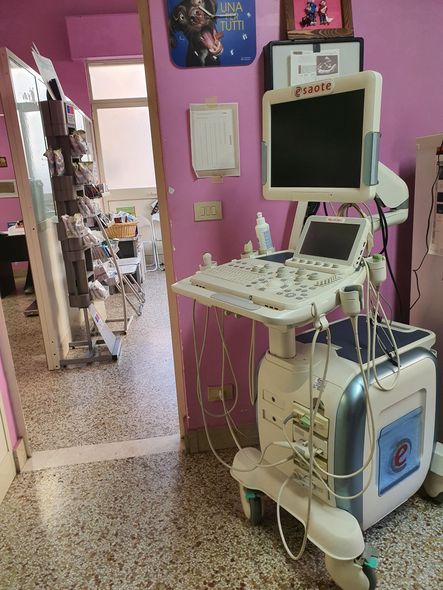 Ambulatorio