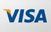 Visa logo in blue with gold accent.