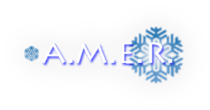 A.M.E.R.-LOGO A.M.E.R.-LOGO