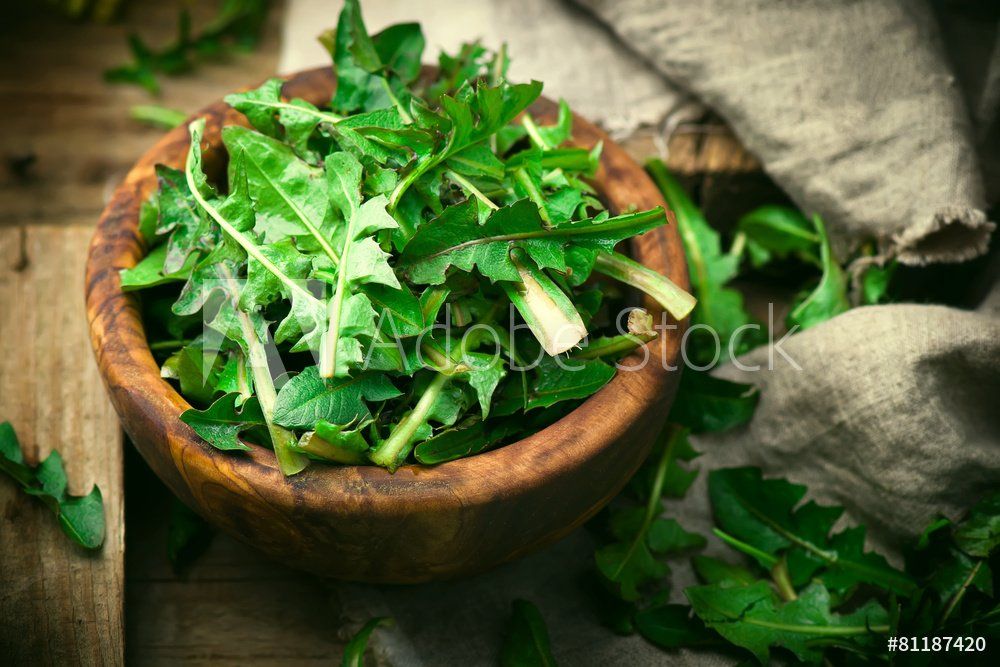 Foraging sessions in West Wales