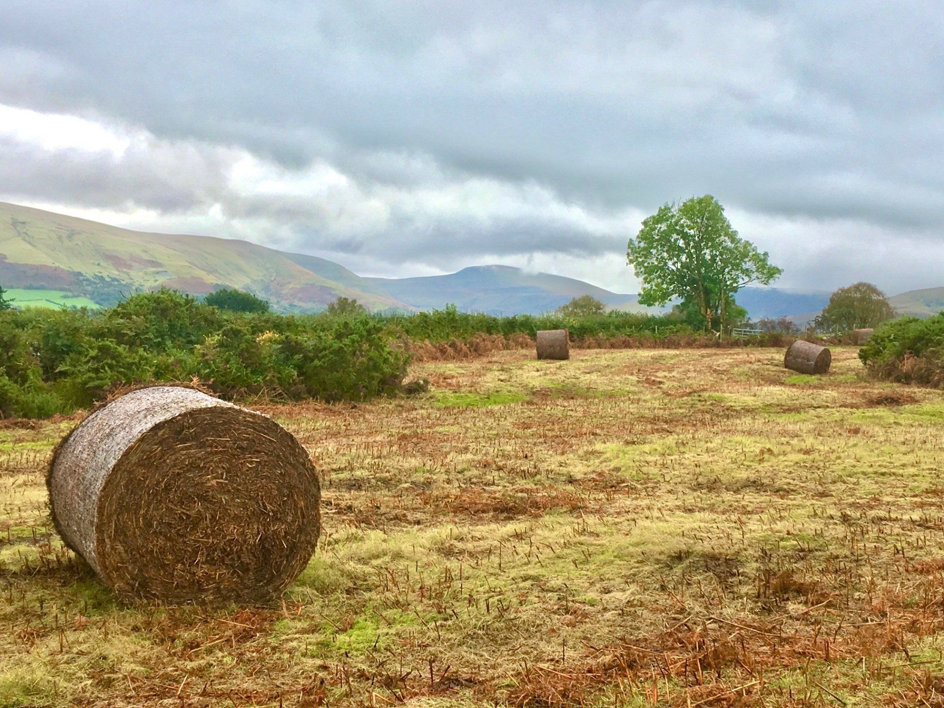 Mynydd Illtyd