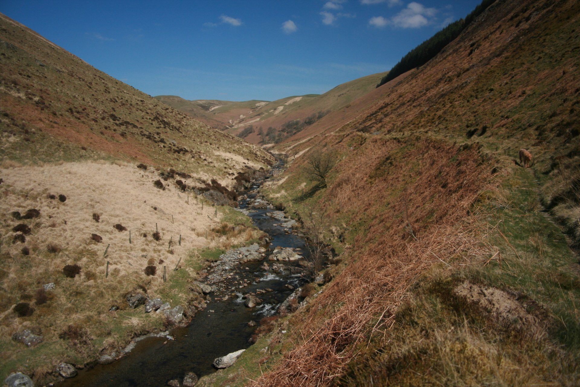 The Doethie Valley