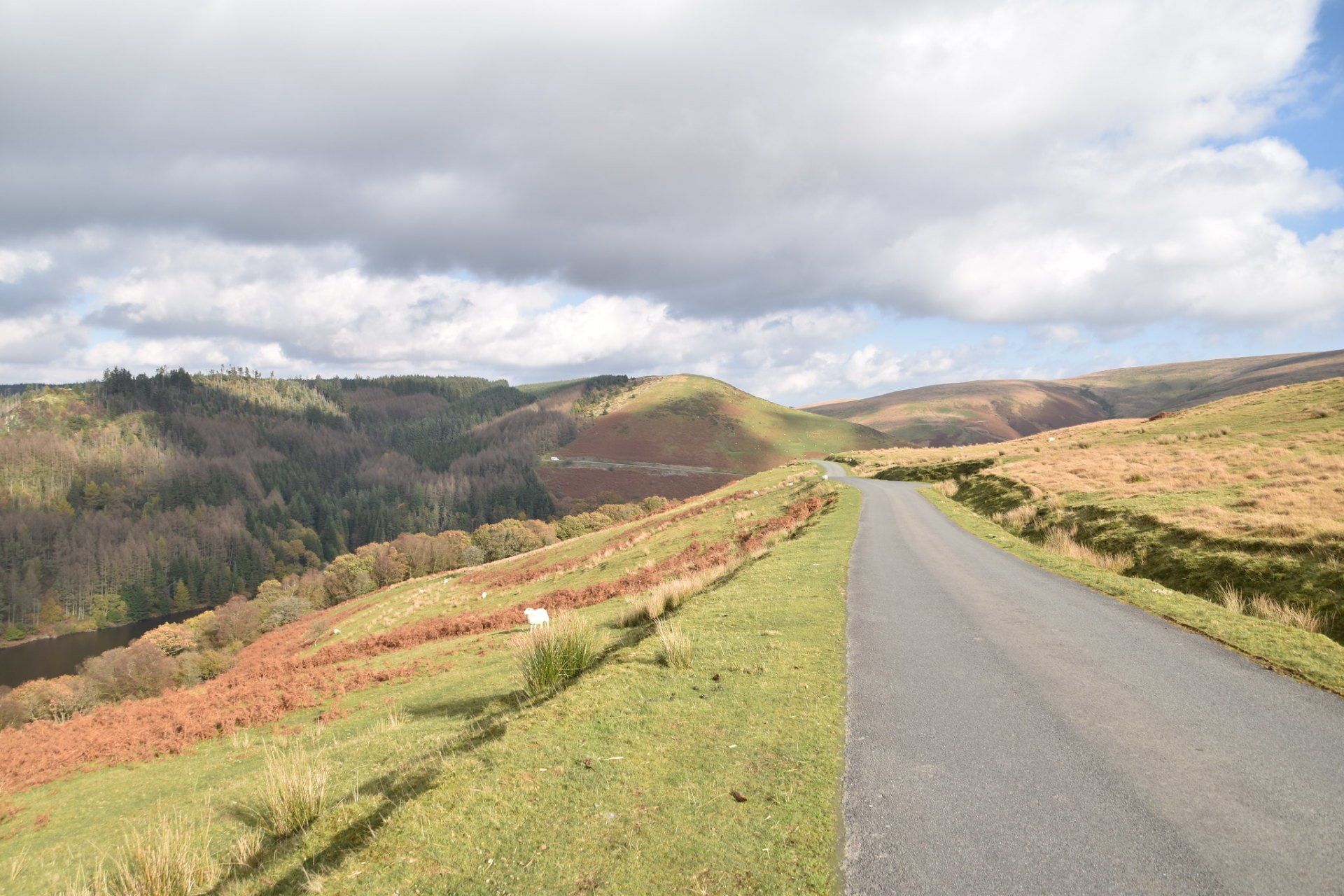 Mountain road Llyn Brianne
