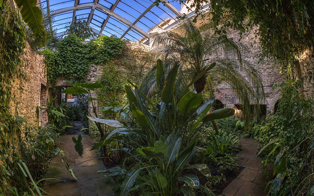 Aberglasney Ninfarium