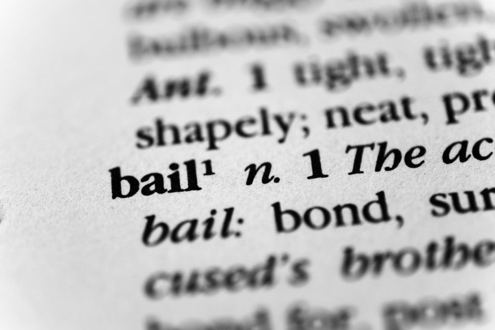 Close-up of a dictionary page with the word “bail” in bold print.