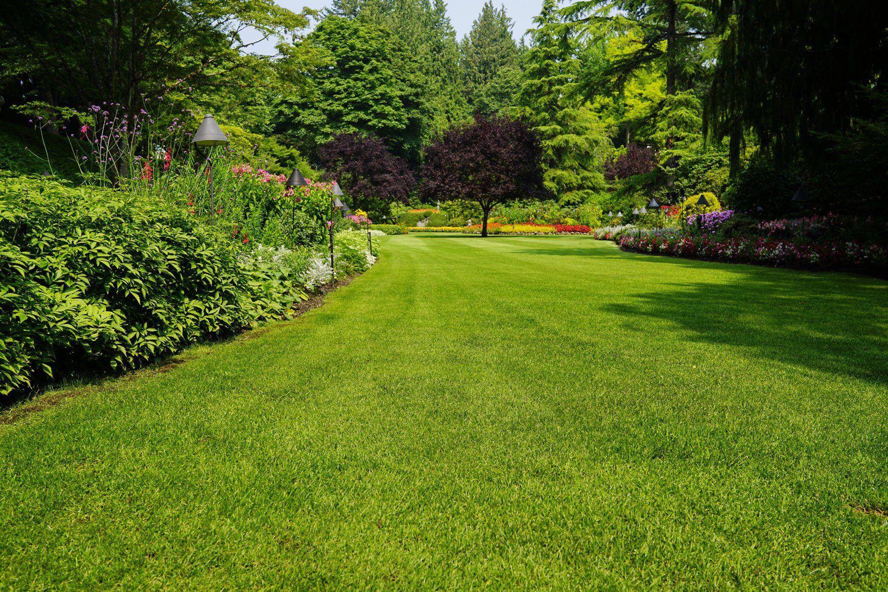 Beautiful Trees and Green Grass — Fort Myers, FL — Gulf Lawns & Tree Service