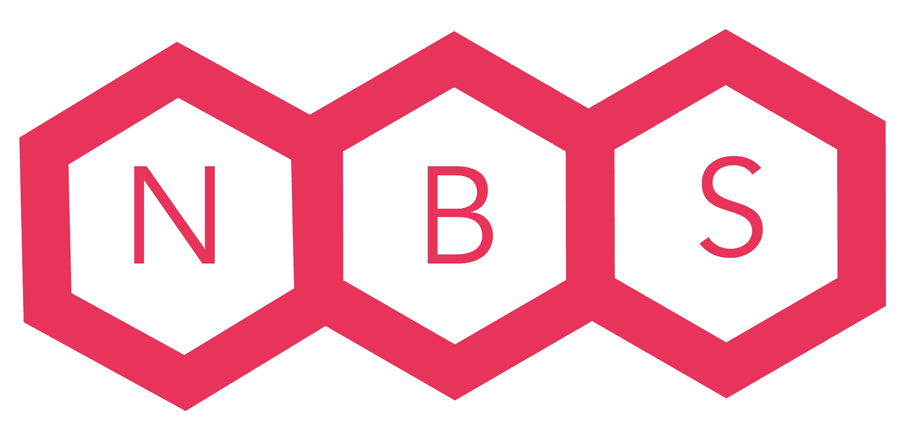 NBS Logo