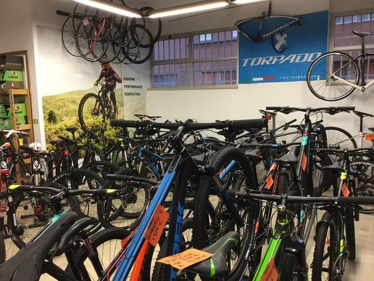 Biciclette da corsa e mountain bike