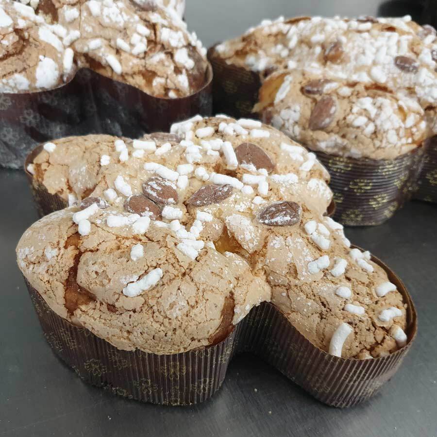 colomba
