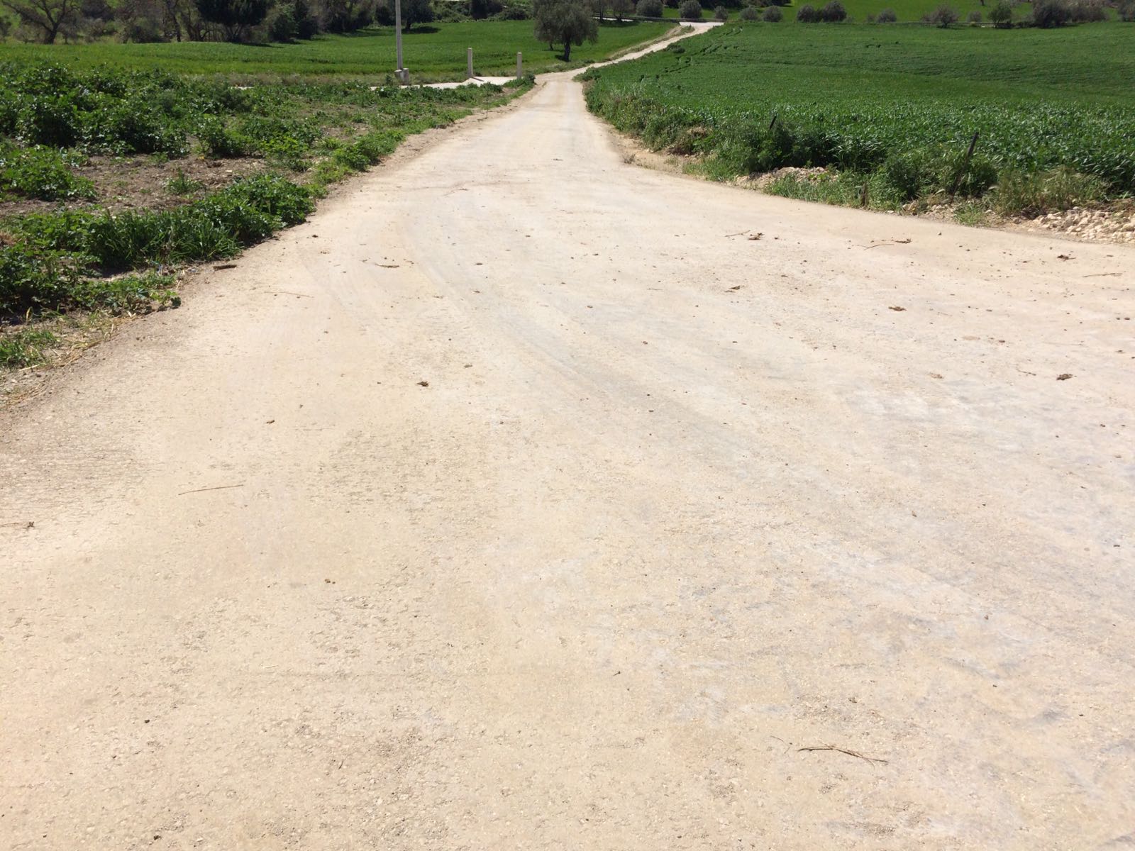 Strada in mezzo ai prati