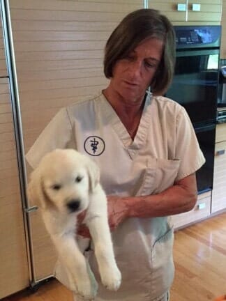 Staff holding a dog — Pet Care in North Shore, MA