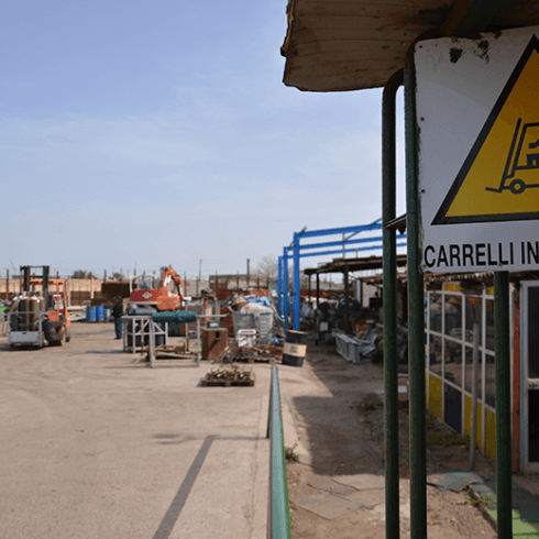 Caroli metal ecology