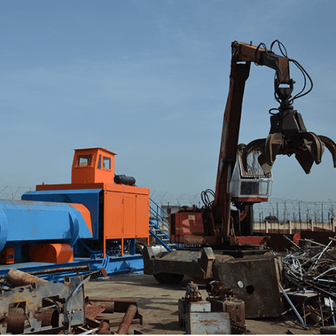 Caroli metal ecology