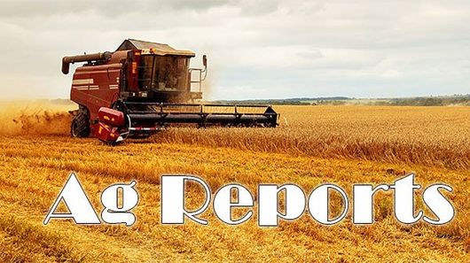 Click here to get the latest Ag Reports and Info Link to Rugby Broadcasters Ag Reports