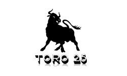 Toro25 logo
