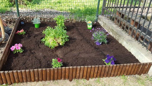 orto nel giardino dell'asilo nido