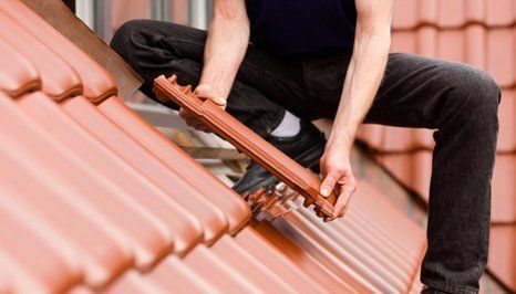 roof care