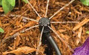 Irrigation Line - Saluda, VA - Bayscapes LLC