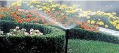 Irrigation5
