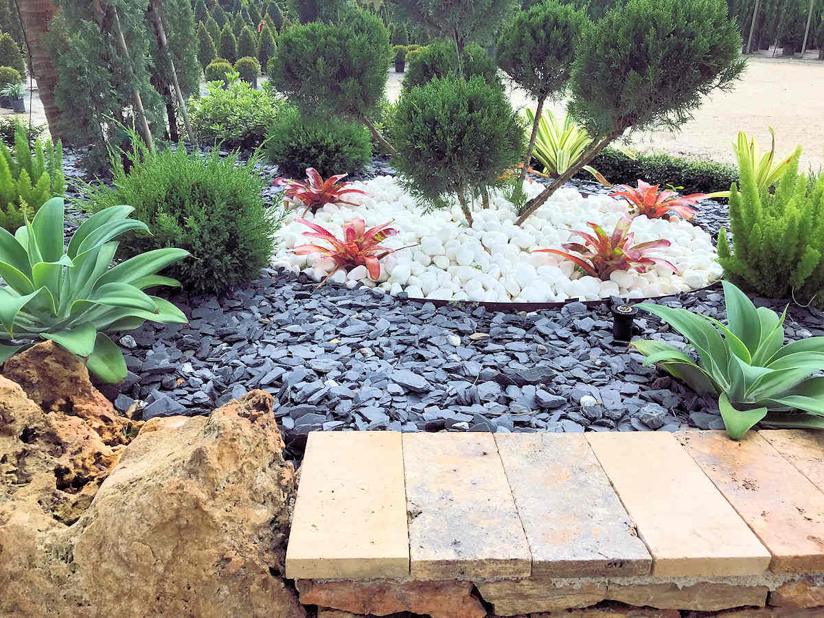 Landscaped garden with black and white stone, plants, and brick edging.