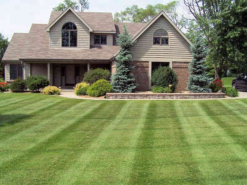 Lawn Care in Davie, FL