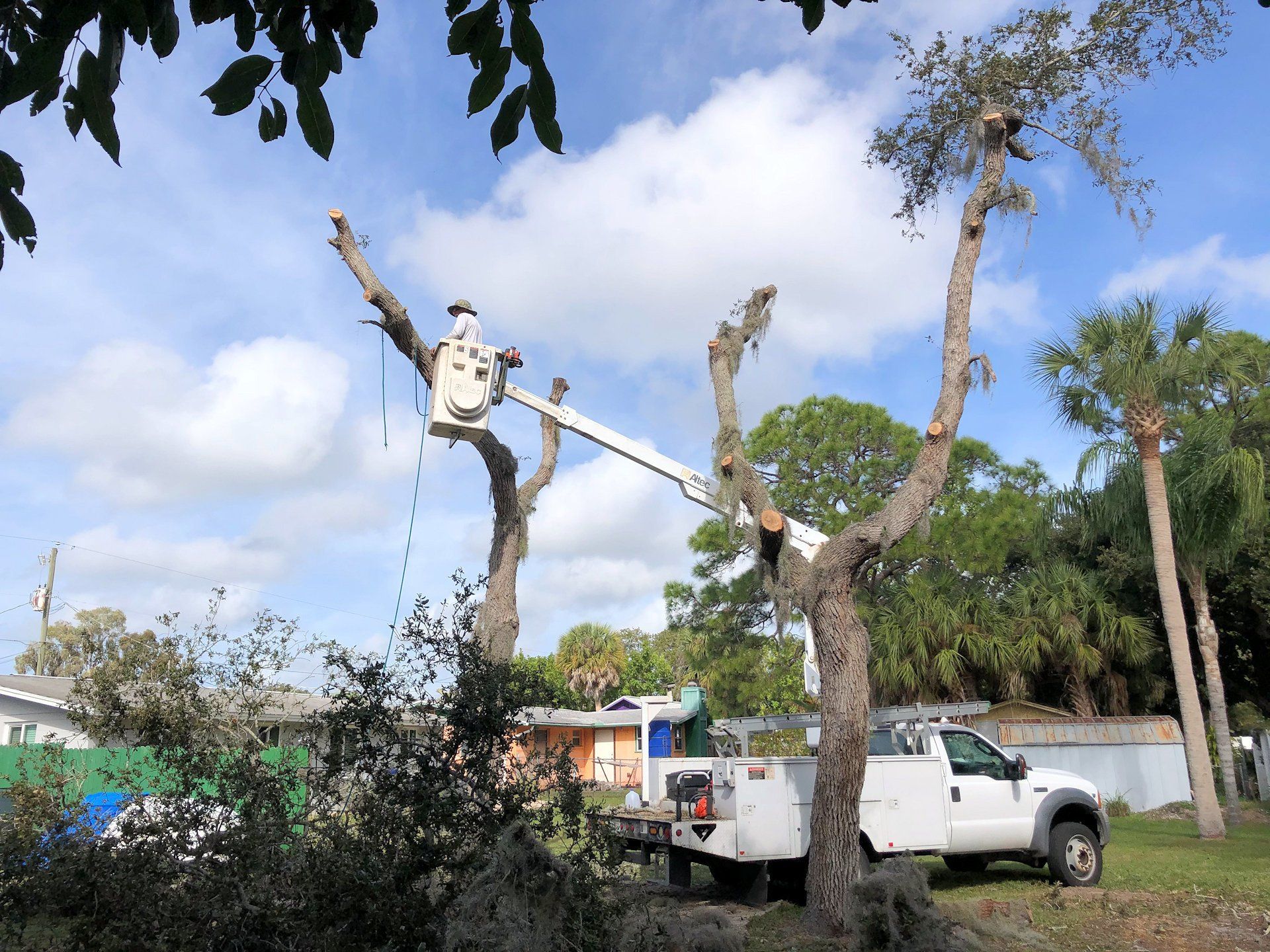 Professional Tree & Stump Removal by Ground Experts | Miami Dade and Broward Counties