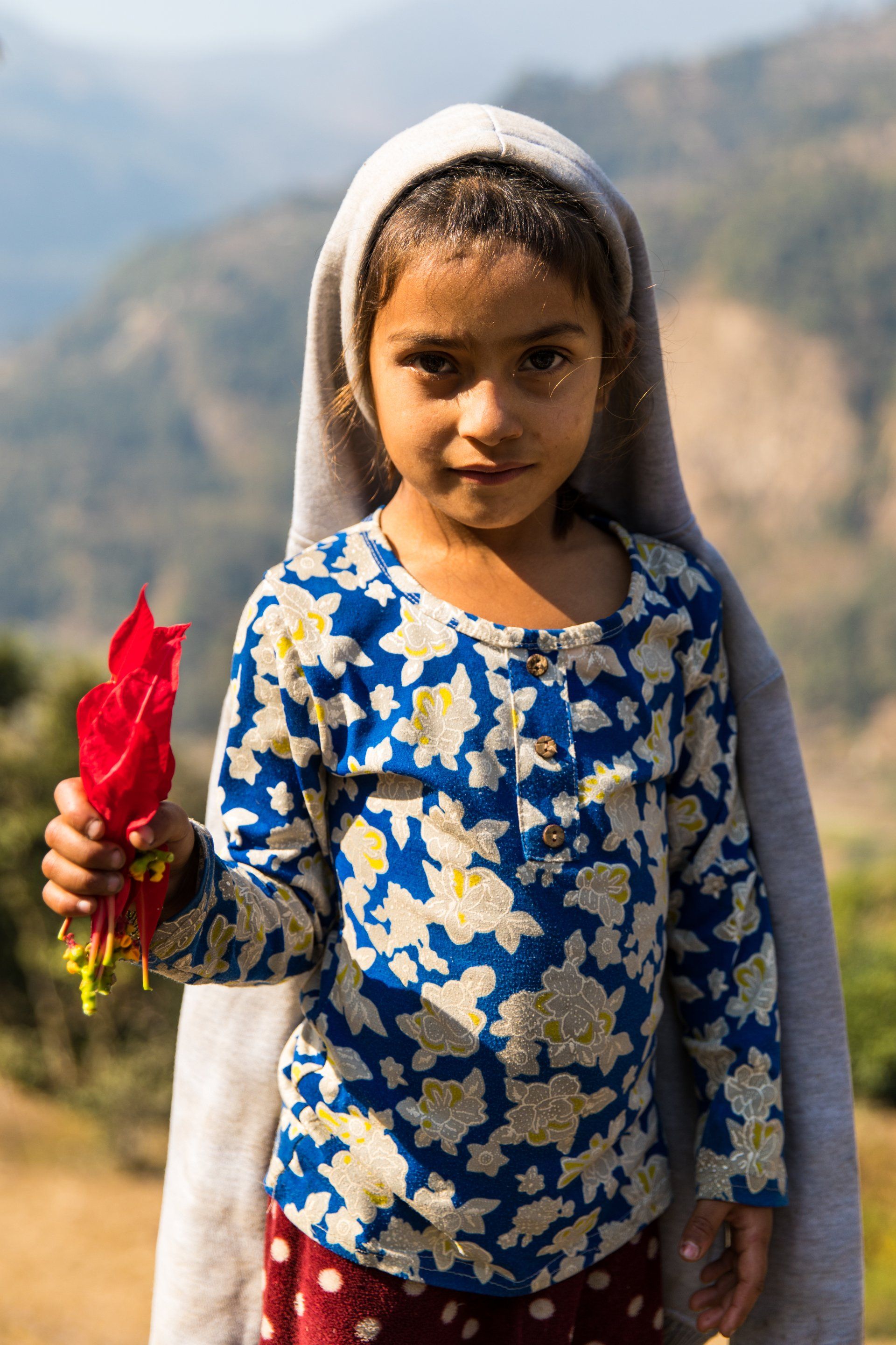 A little girl is holding a red flower in her hand.