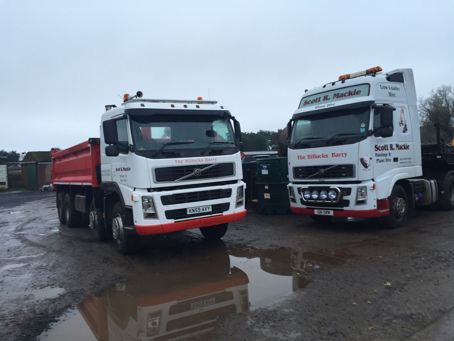 White trucks