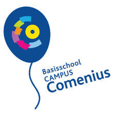 Executieve functies