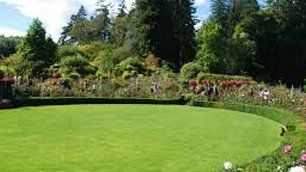 lawn
