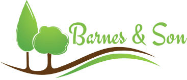 Barnes & Son logo