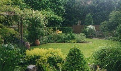 seasonal lawn treatments