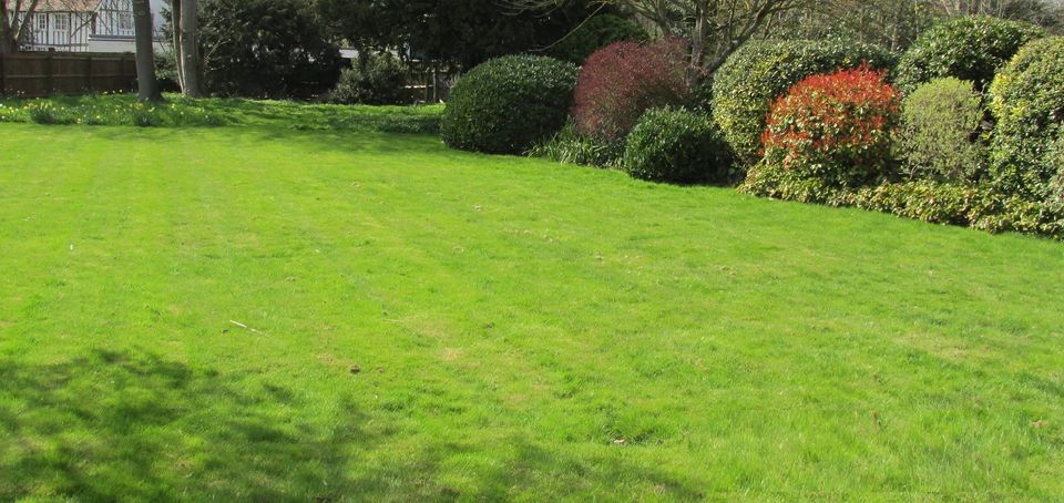 grass cutting