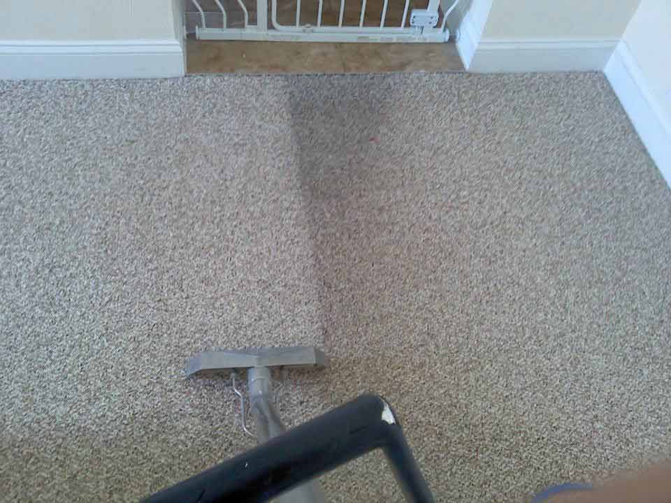 CARPET CLEANING SERVICES  — CHESAPEAKE, VA — ATLANTIC CARPET CARE, INC.