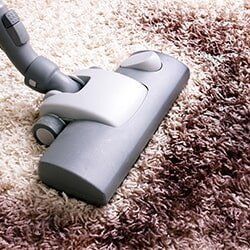 CARPET STAIN REMOVAL — CHESAPEAKE, VA — ATLANTIC CARPET CARE, INC.