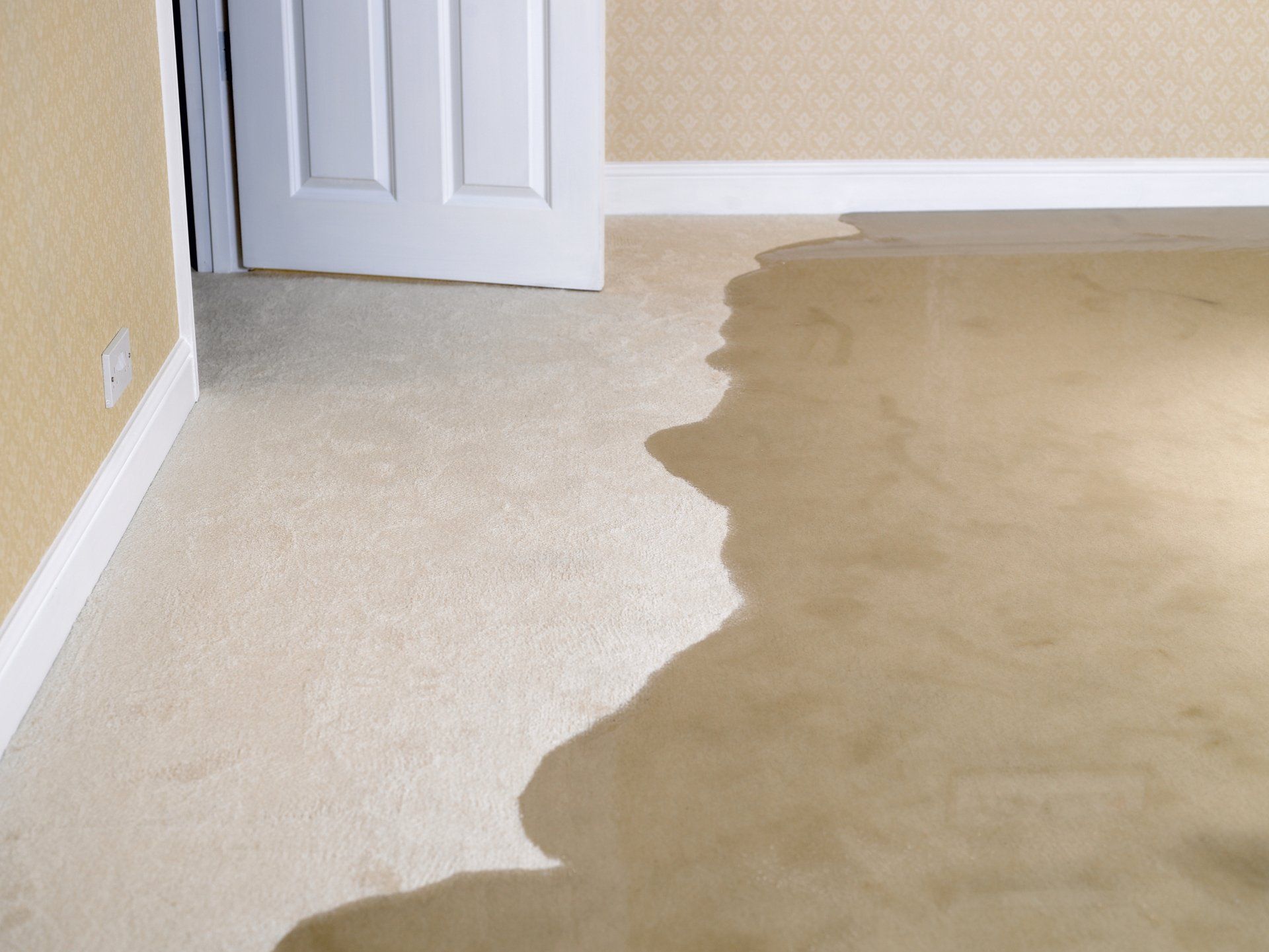 RUPTURED WATER LINE — CHESAPEAKE, VA — ATLANTIC CARPET CARE, INC.