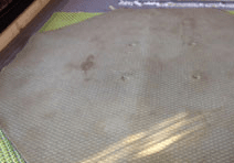 STAINED RUG — CHESAPEAKE, VA — ATLANTIC CARPET CARE, INC.