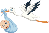 Paresh G. Mehta MD, FACOG [OB/GYN]
