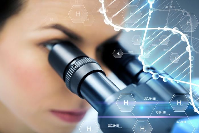 Analisi al microscopio