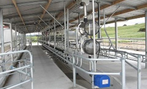 Bottles being filled with milk