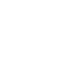 Phone-Icon