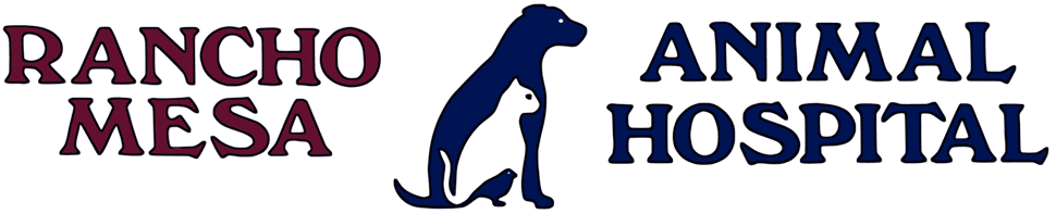 Rancho Mesa Animal Hospital Rancho Mesa Animal Hospital
