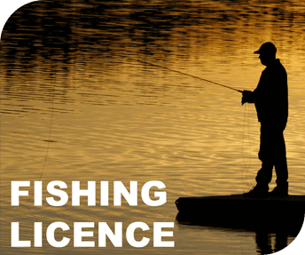 fishing licence
