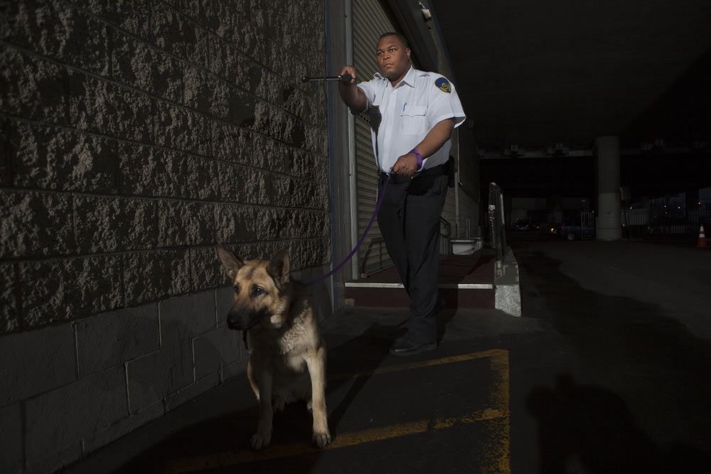 Night Patrol — Security Services in Ballina, NSW Night Patrol — Security Services in Ballina, NSW